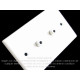 Placa Tapa Jack 3.5 mm audio doble ABS Placa Tapa Jack 3.5 mm audio doble ABS