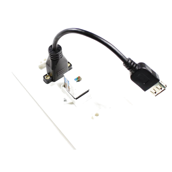 Placa Tapa USB 2.0 pigtail + Jack RJ45 Cat6 en ABS Placa Tapa USB 2.0 pigtail + Jack RJ45 Cat6 en ABS
