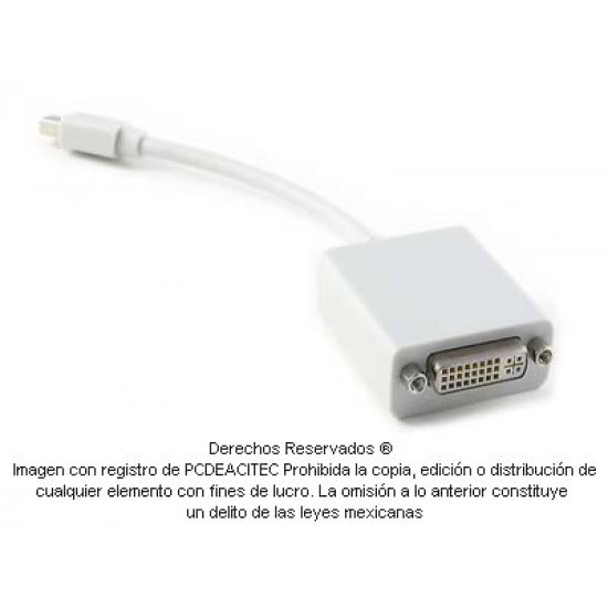 Convertidor Mini DisplayPort macho a DVI-I hembra