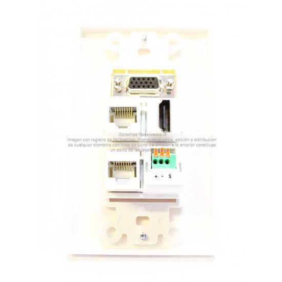 Placa Tapa Decora VGA + HDMI + Audio Jack 3.5 mm + 2 Cat5e cople ABS