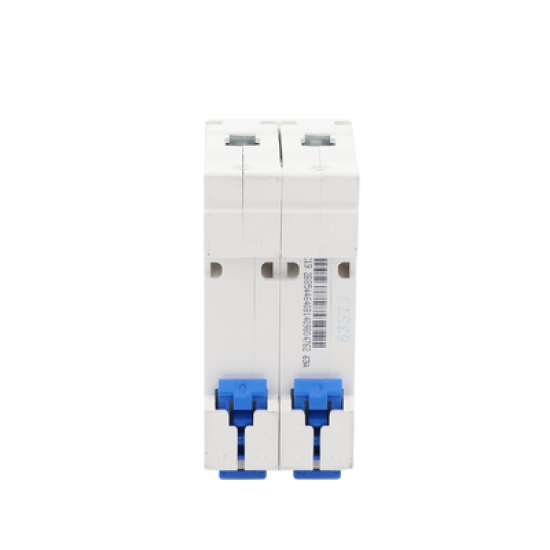 Pastilla para Riel Din, 2 Polo, 63 Amp, Vca:110/415v, 6kA, Catálogo: NXB632PC63, Serie: NXB-63.