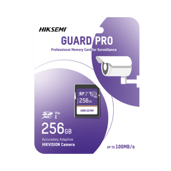 Memoria SD Clase 10 de 256 GB / Especializada Para Videovigilancia
