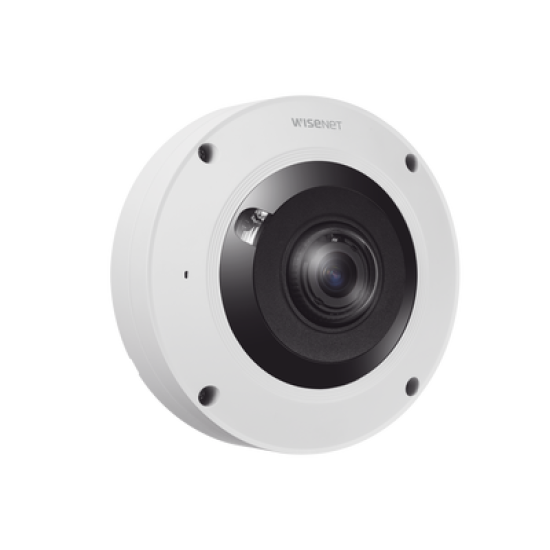 IA Fisheye IP 12 Megapixel / WDR 120dB / Deteccion de personas con IA / NEMA 4X / IP66 / IK10 