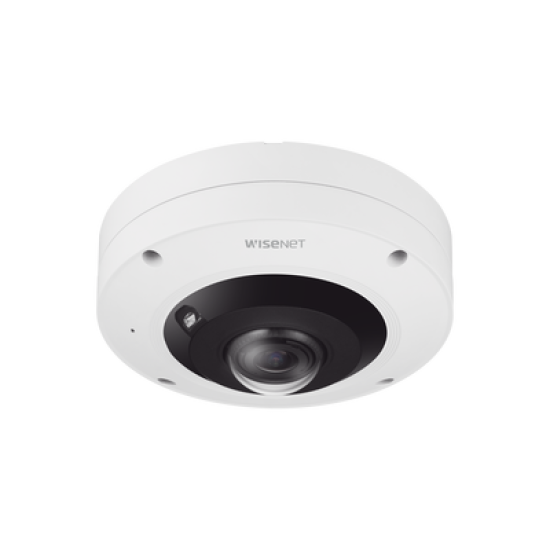 IA Fisheye IP 12 Megapixel / WDR 120dB / Deteccion de personas con IA / NEMA 4X / IP66 / IK10 
