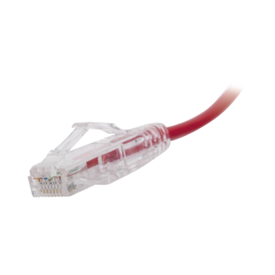Cable de Parcheo Slim UTP Cat6 - 30 cm Rojo Diámetro Reducido (28 AWG)