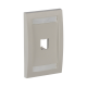 Placa de Pared Vertical Ejecutiva, Salida Para 1 Puerto Mini-Com, Con Espacios Para Etiquetas, Color Blanco Mate