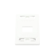 Placa de pared modular MAX, de 2 salidas, color blanco, version bulk (Sin Empaque Individual)