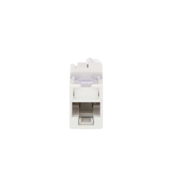 Jack UltraMAX Cat6, UTP, Montaje híbrido en Placa de Pared (Plano y Angulado), Color Blanco, Punch Down