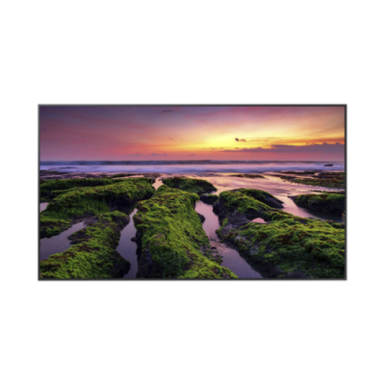 Pantalla Profesional LED de 65