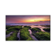 Pantalla Profesional LED de 65