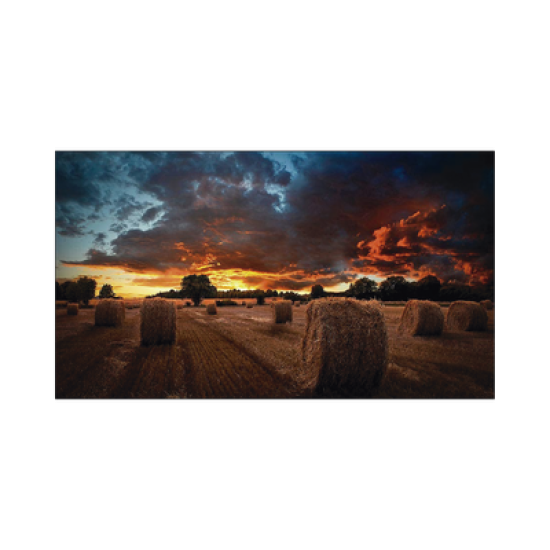 Pantalla Profesional LED de 46