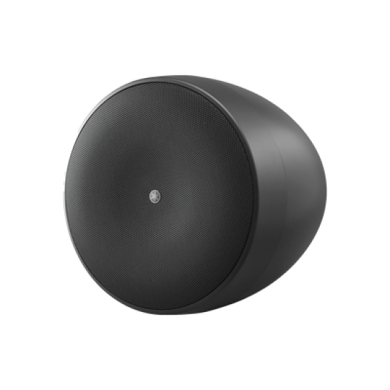 Altavoz Colgante Comercial | 6.5 in | 2 Vias, 300w | 8 Ohms | 70v/100v | Negro
