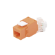 Módulo Jack Keystone Cat6A 