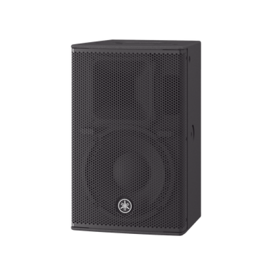 Altavoz Amplificado 10 in | Potencia: 700w | Amplificacion Clase-D | Hecho en Madera | Para aplicaciones de Instalacion y Refuerzo Sonoro