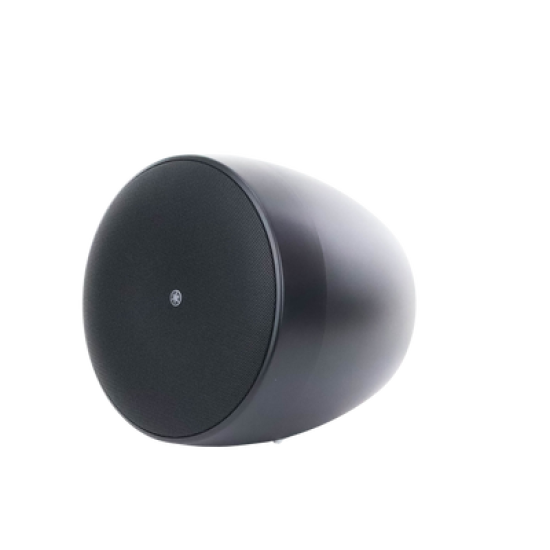 Altavoz Colgante Comercial | 6.5 in | 2 Vias, 300w | 8 Ohms | 70v/100v | Negro