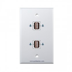 Placa Tapa doble USB 2.0 en ABS