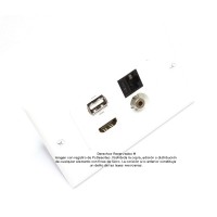 Placa Tapa Decora HDMI 4k + USB 2.0 + Jack 3.5 mm + RJ45 Cat5 en ABS