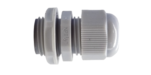 Glándulas y Accesorios