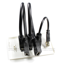 Placa Tapa doble HDMI 4k pigtail + USB 2.0 pigtail en ABS