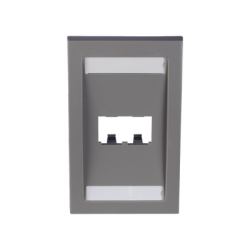 Placa de Pared Vertical Ejecutiva, Salida Para 2 Puertos Mini-Com, Con Espacios Para Etiquetas, Color Gris