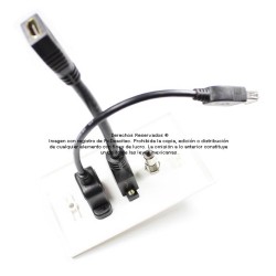Placa Tapa USB 2.0 pigtail + HDMI 4k pigtail + Audio Jack 3.5 mm en ABS