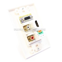 Placa Tapa Decora VGA + HDMI 4k + Audio Jack 3.5 mm con opresores + RCA RL en ABS