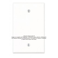 Placa Tapa ciega de 1 gang en ABS