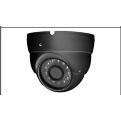 PONIPCC1) DOMO IP 2MP WDR IR IP66 P/DVR MOVIL