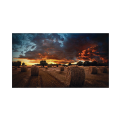 Pantalla Profesional de 46