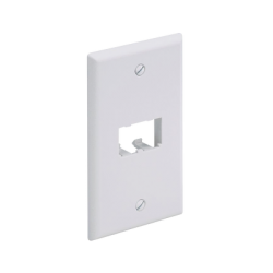 Placa de Pared Vertical Clásica, Salida Para 2 Puertos Mini-Com, Color Blanco