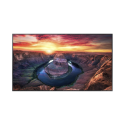 Pantalla Profesional LED de 55