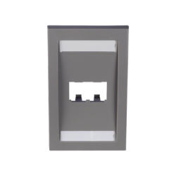 Placa de Pared Vertical Ejecutiva, Salida Para 2 Puertos Mini-Com, Con Espacios Para Etiquetas, Color Gris