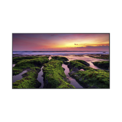 Pantalla Profesional LED de 55