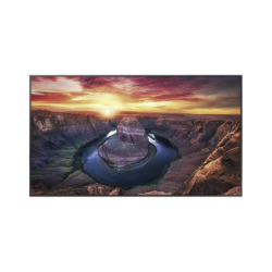 Pantalla Profesional LED de 50